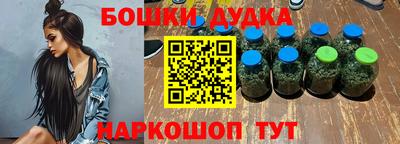 спиды Гай