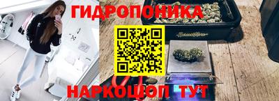 соль курить ск Гатчина