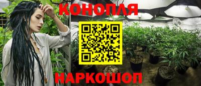 спиды Гай
