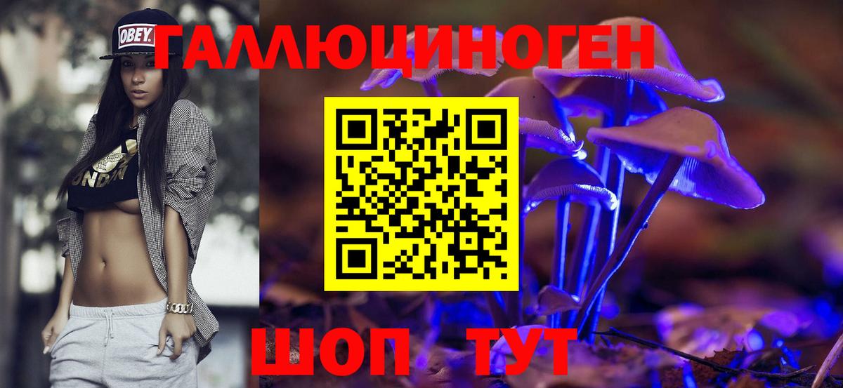Галлюциногенные грибы Magic Shrooms Краснознаменск
