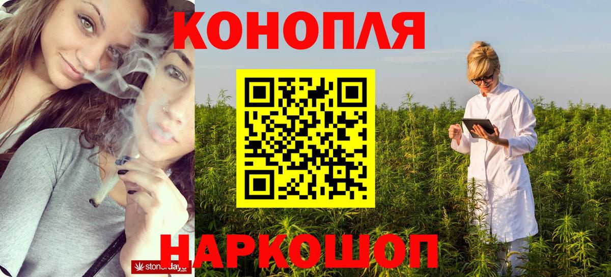 Конопля конопля  Шишки марихуана план  Краснознаменск  Бошки марихуана THC 21%  Вход с VPN 